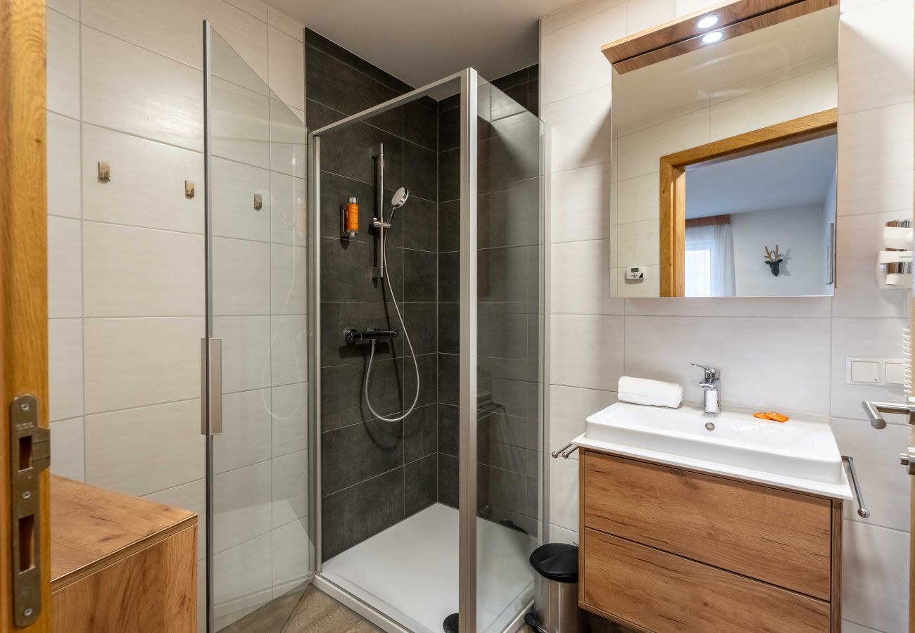 Ferienwohnung in Piesendorf - Maiskogelblick - TOP 3