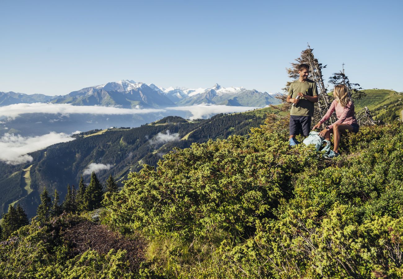 Ferienwohnung in Piesendorf - Maiskogelblick - TOP 4